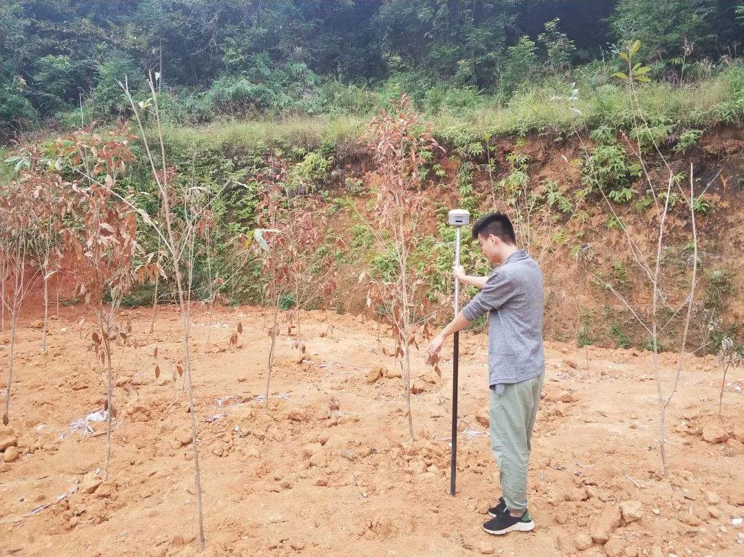 地皮规划部项目纪实丨GA黄金甲人，助力荒地变桑田！