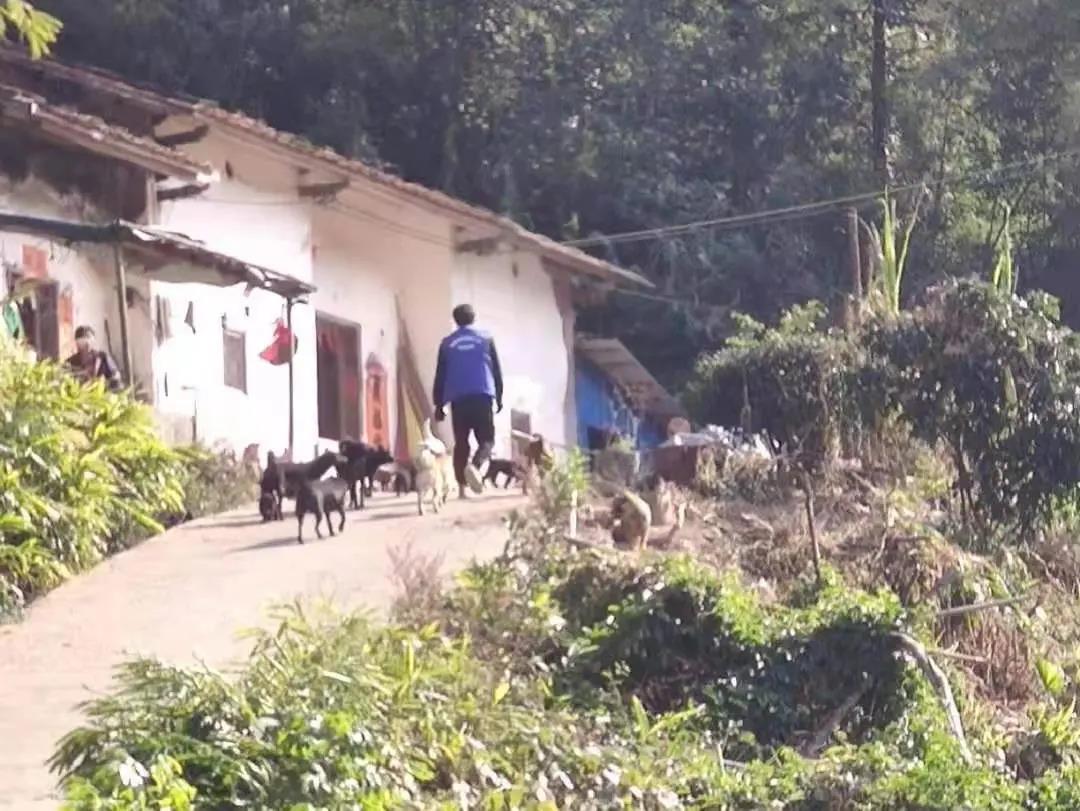 阳春房地一体项目纪实丨无悔青春多砥砺，最是奋斗动人心