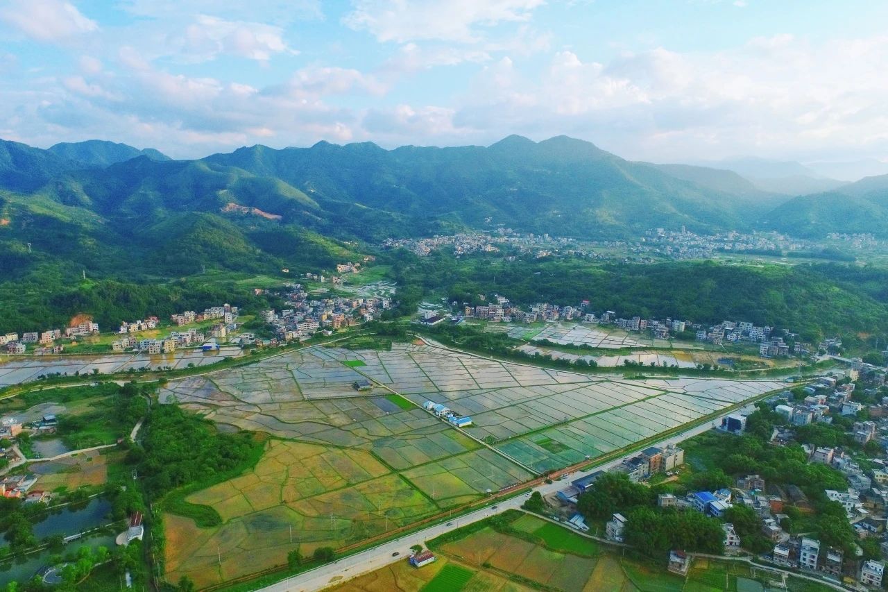 GA黄金甲集团丨“百千万工程”显实效：兰州罗定泗纶镇以全域地皮综合整治为抓手，绘就村落振兴新画卷